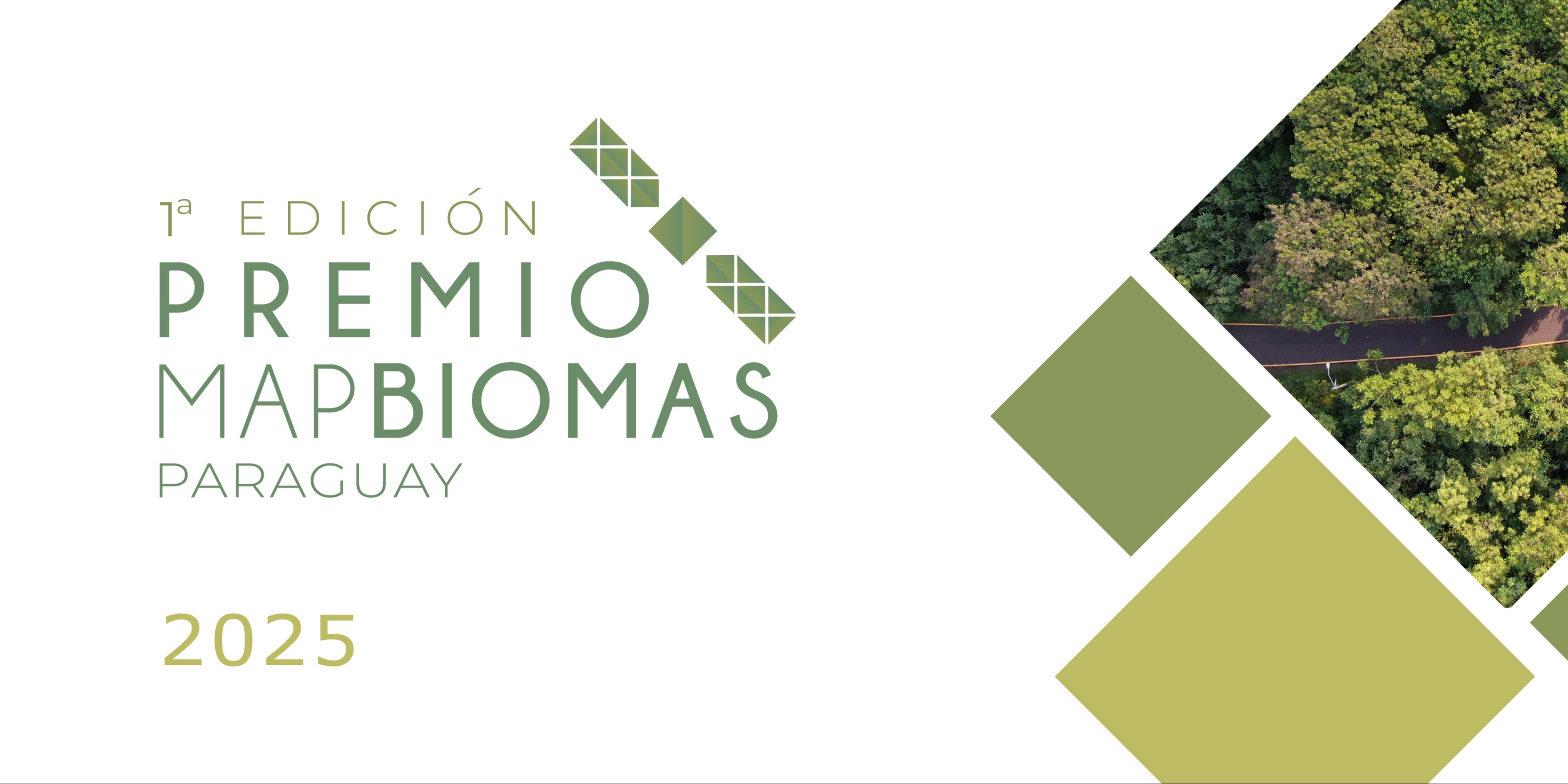 Lanzan la primera edición del Premio MapBiomas Paraguay